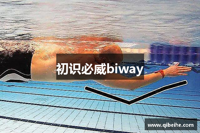 初识必威biway